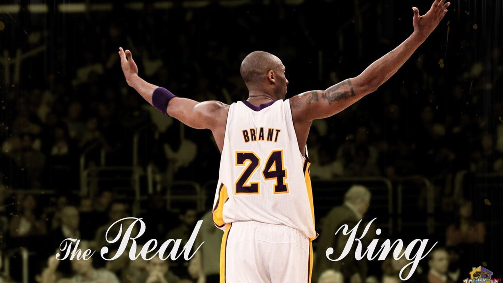 互联网平台助力青少年篮球赛事全流程管理,数字化水平持续提升