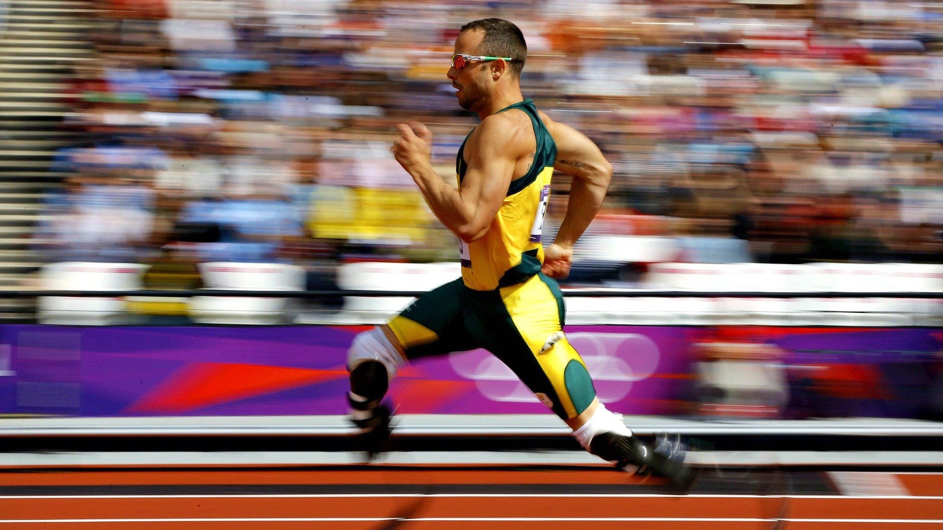 克罗地亚马术协会与亚洲马术协会建立合作关系，推动区域发展。